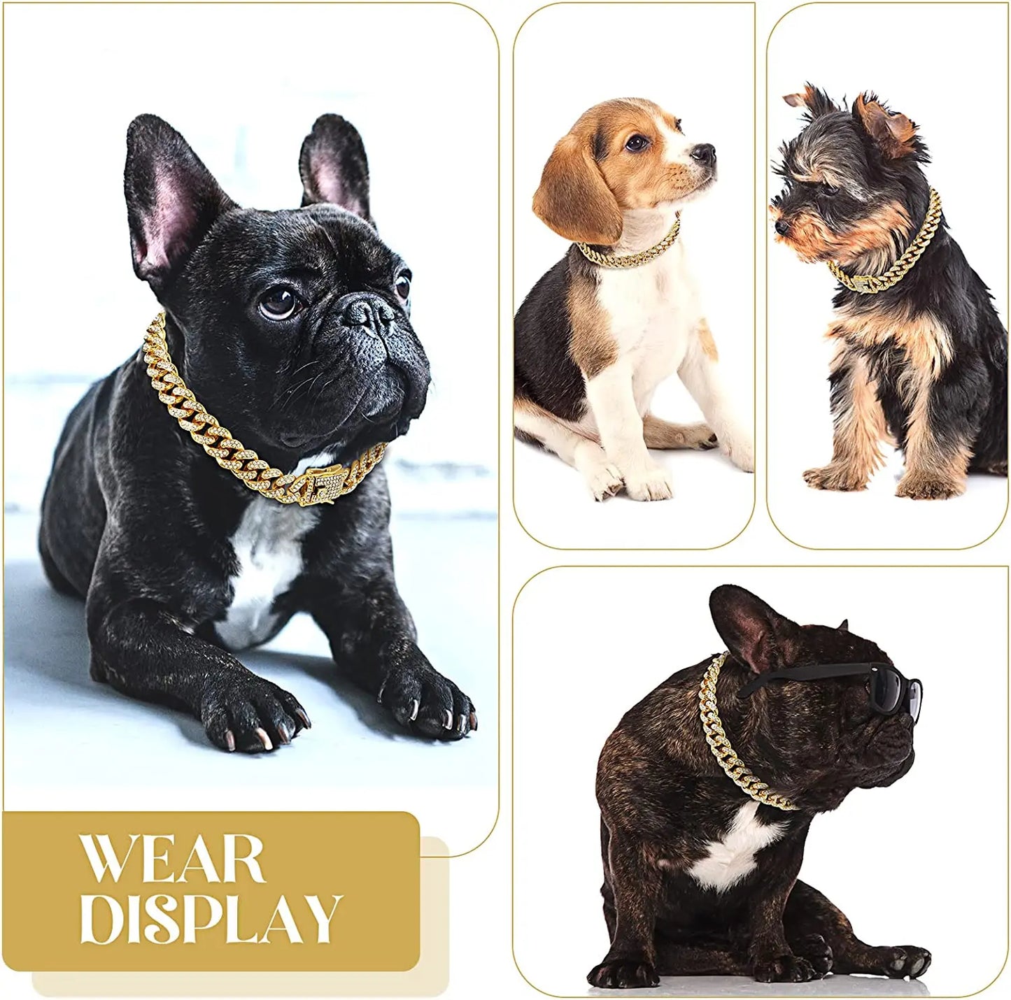 Gold Chain Dog Collar: Stylish Necklace for Pets