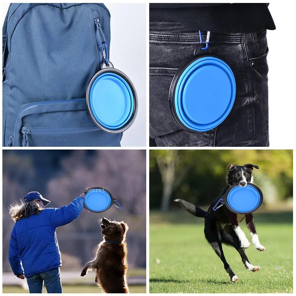 Silicone Bowl: Foldable, portable, for dog food.