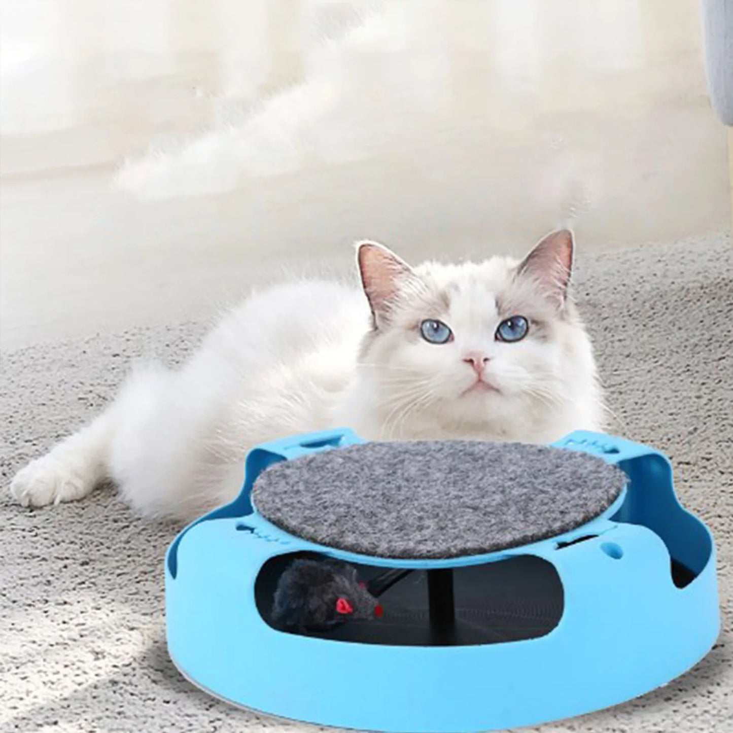 Training Toys: Interactive play, scratch mouse, moving inside, faux rope.
