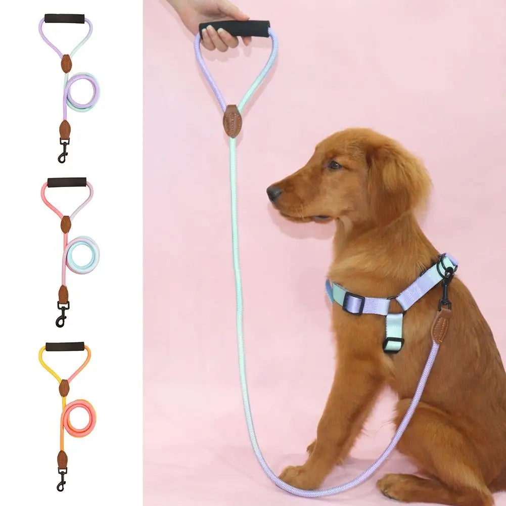 Rainbow Nylon Dog Leash: Durable, walking training, adjustable strap.
