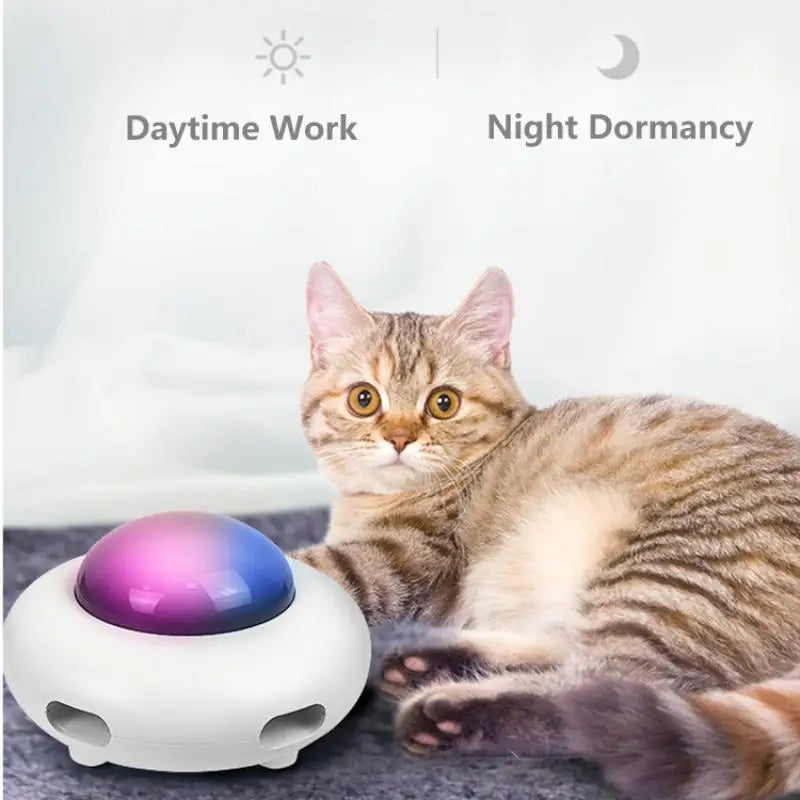UFO Cat Teaser: Automatic rotating, eco-friendly, pet training toy.