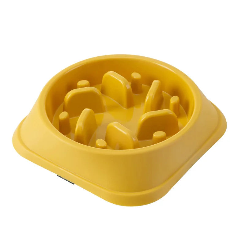 Pet Food Bowl