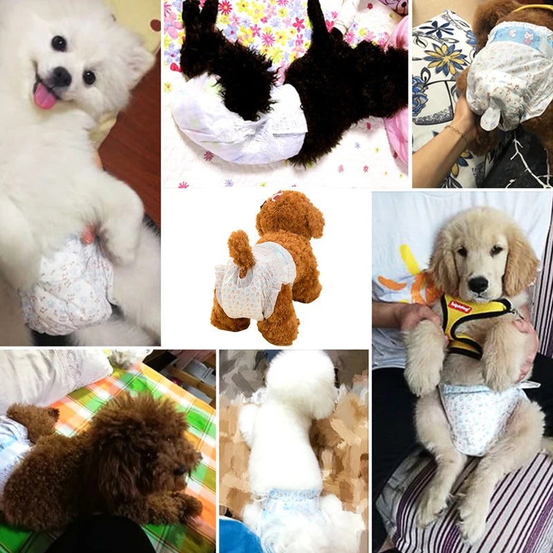 New Style Pet Diapers: Cotton Physiological Pants