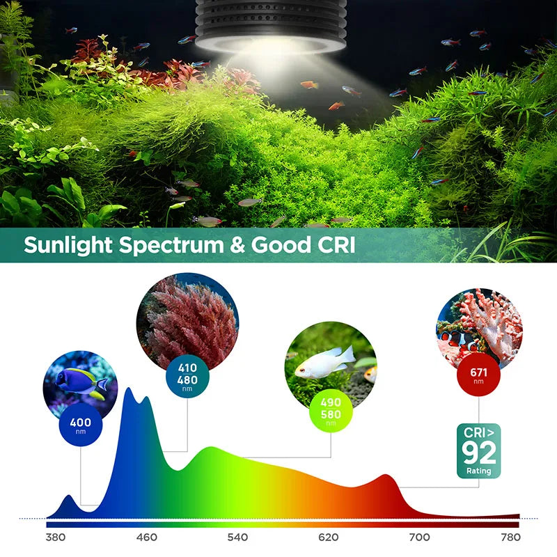 LED Aquarium Light: Coral reef, algae, affordable.