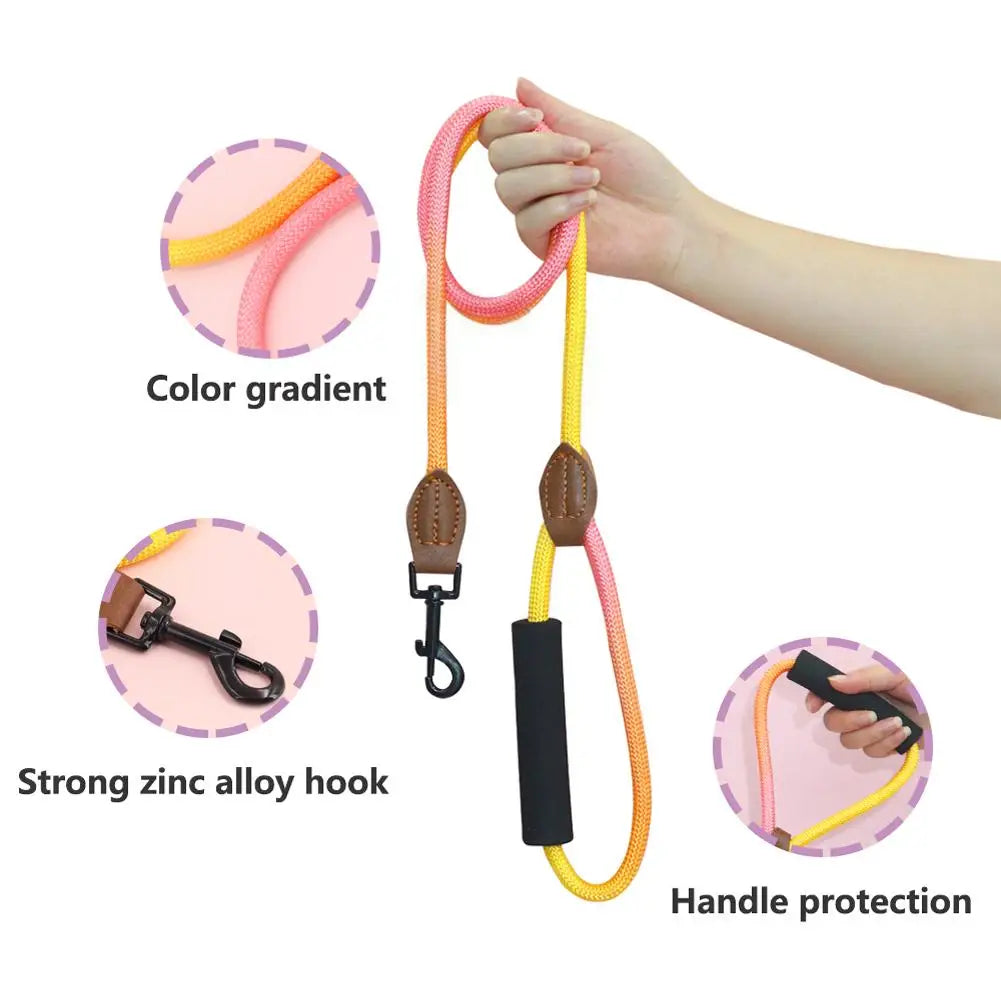 Rainbow Nylon Dog Leash: Durable, walking training, adjustable strap.