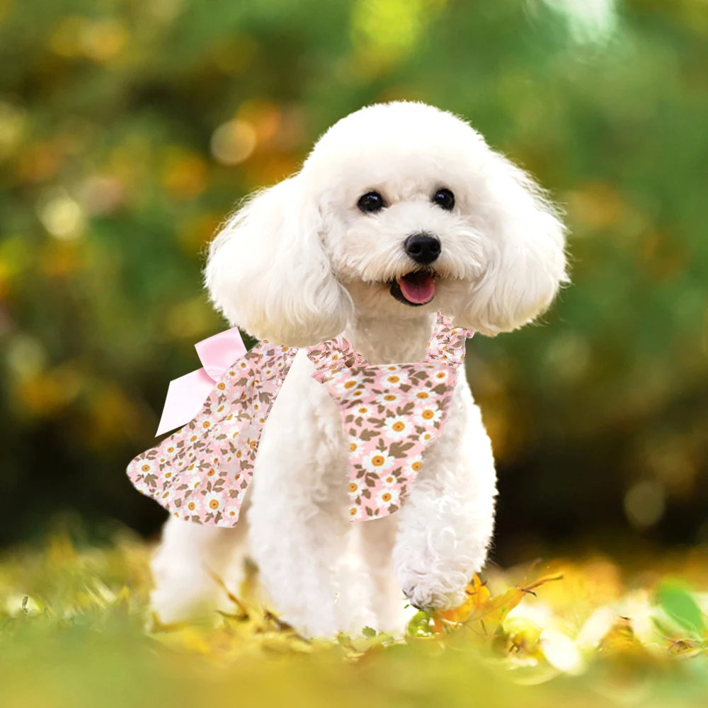 Floral Dog Harness Set: Princess Style, Pet Collar Clothing