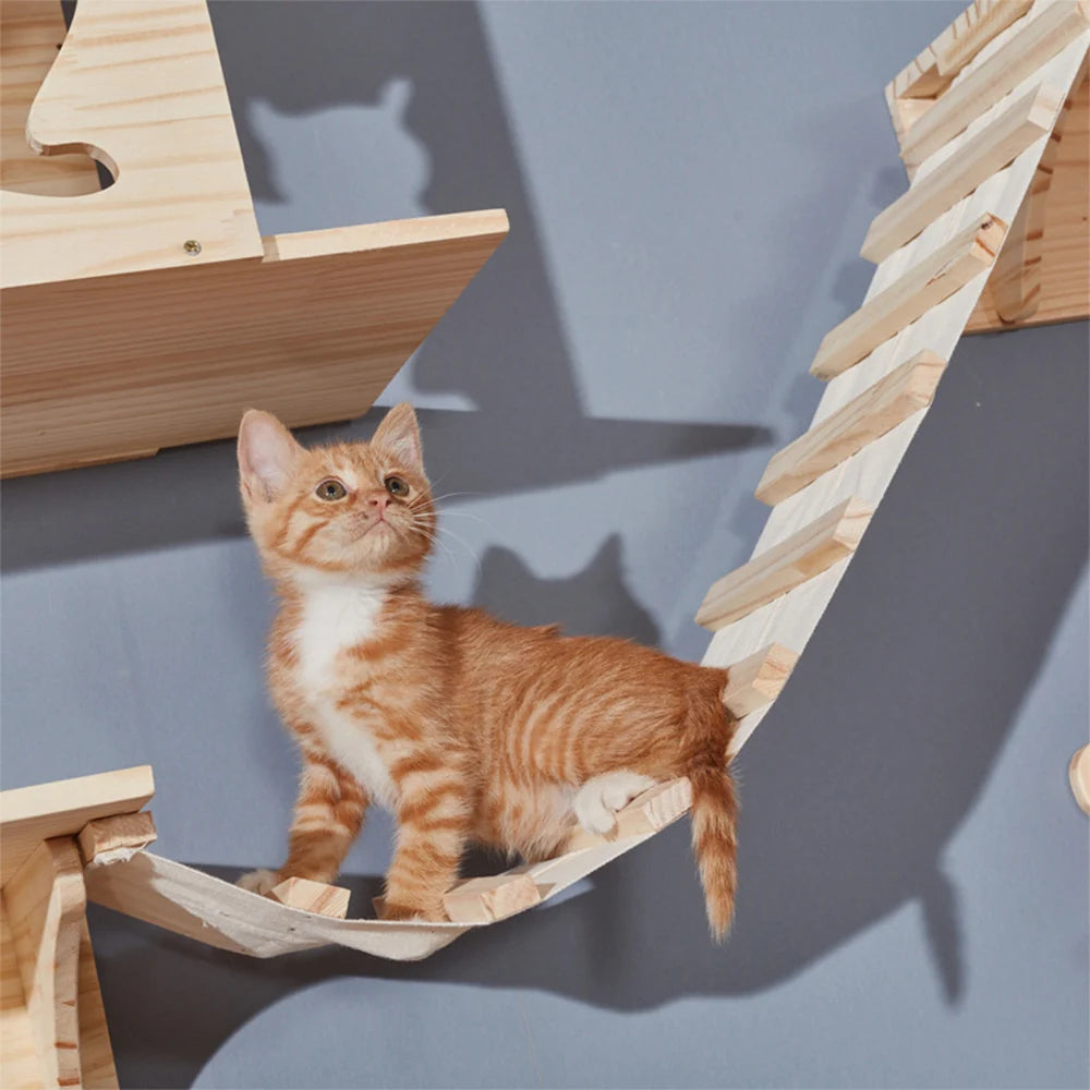Solid Wood Cat Climbing Frame: Sturdy and Fun for Your Cat!