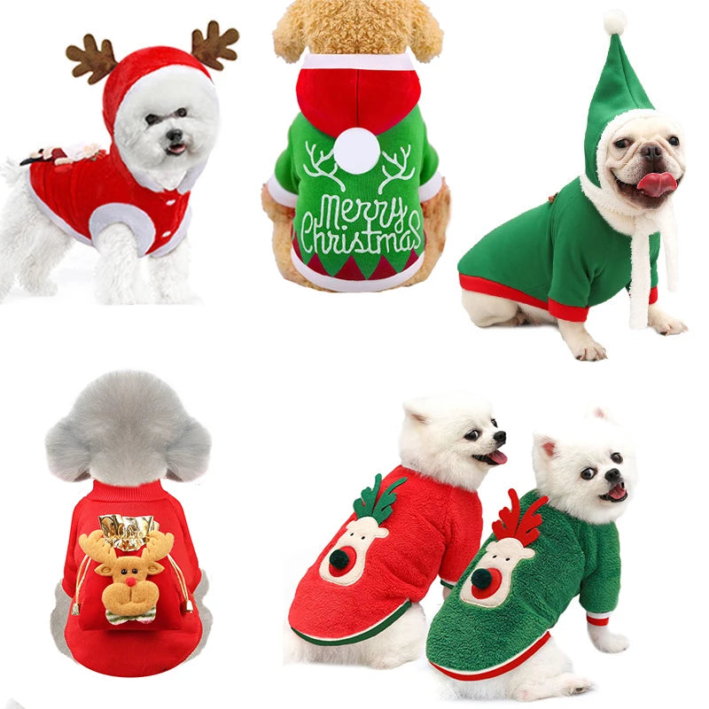 Christmas Pet Clothes: Santa costume, festive outfits, party apparel.
