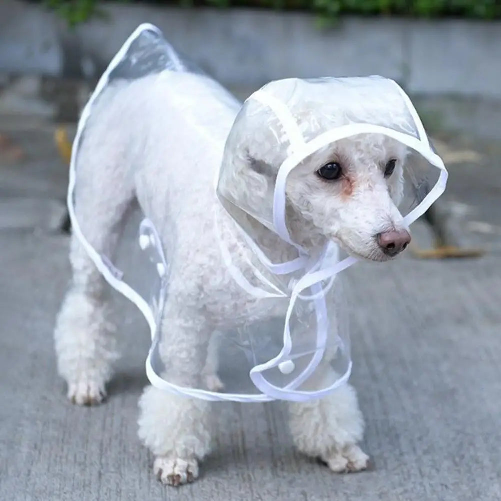 Pet Raincoat: Transparent, Adjustable, Windproof, Soft Dog Rainwear