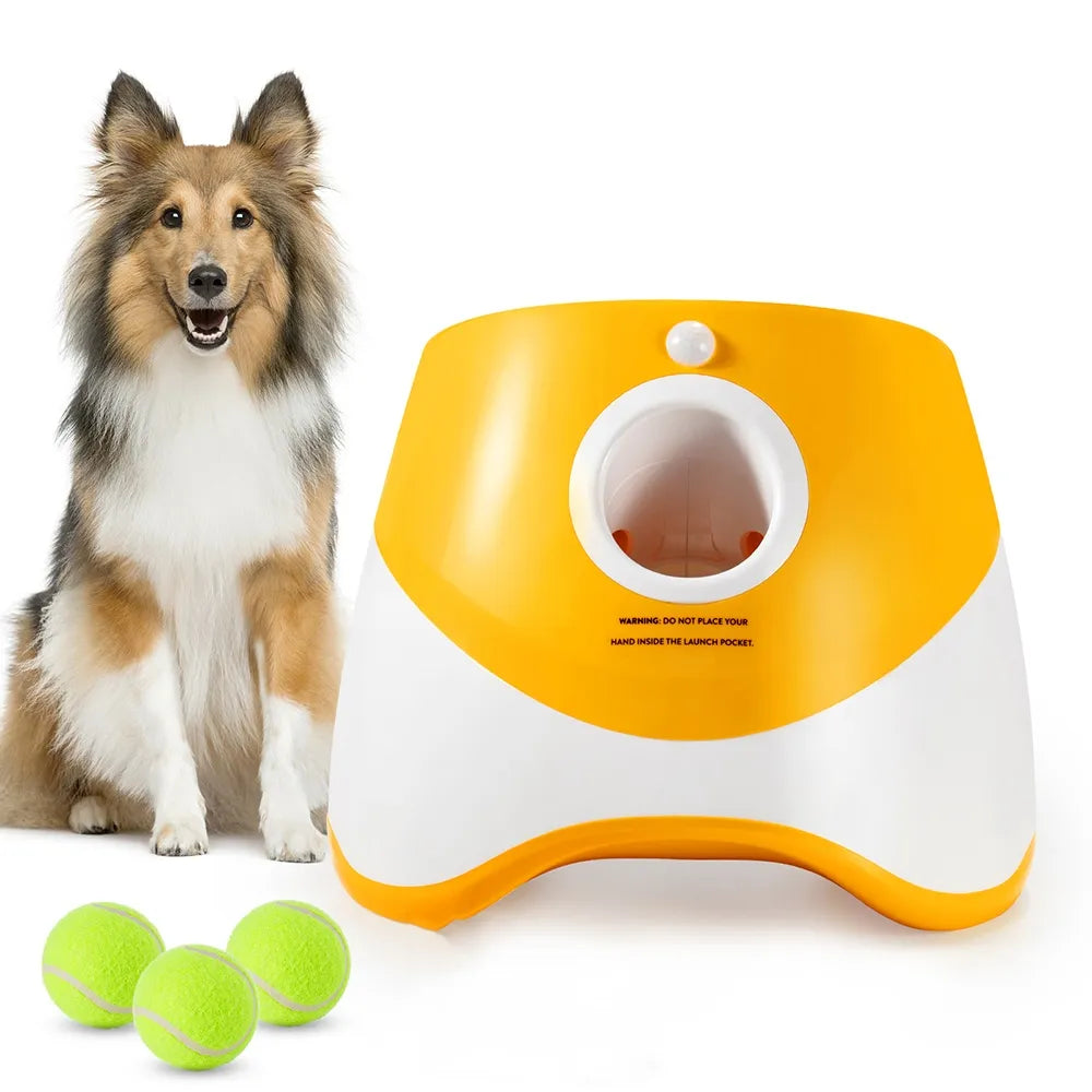Dog Ball Thrower: Effortless Fun and Exercise for Your Dog!