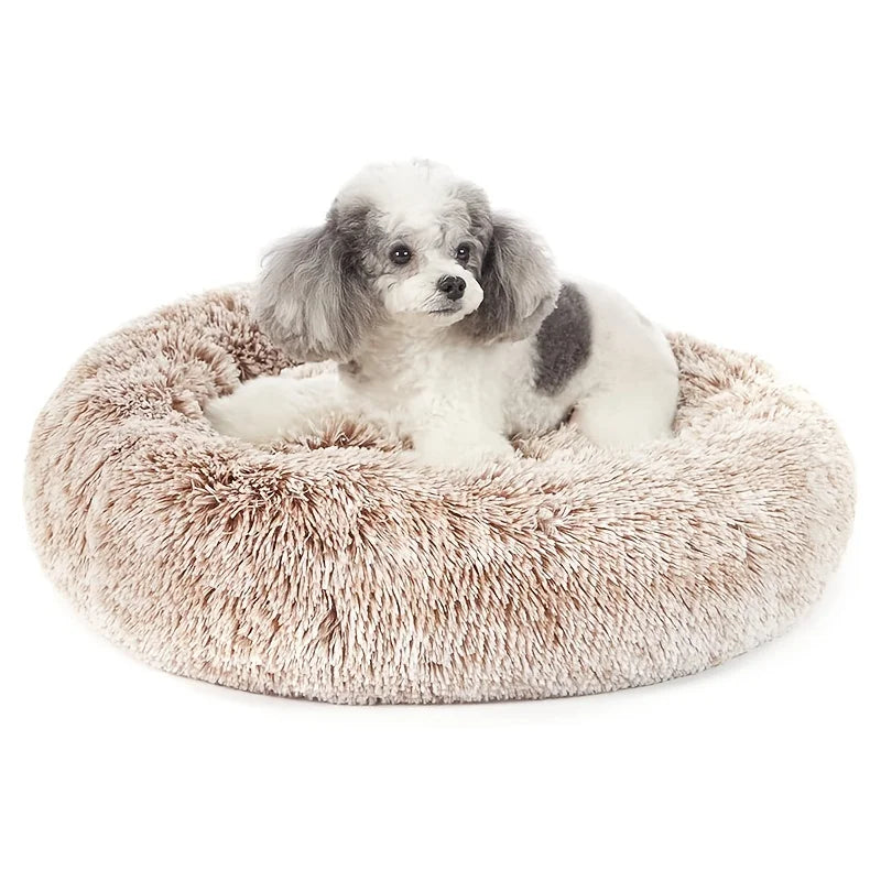 48185585500452|48185585533220|48185585598756|48185585631524