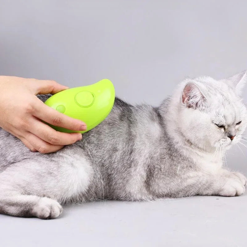 Steam Brush: Electric spray, massage comb, hair removal, grooming.
