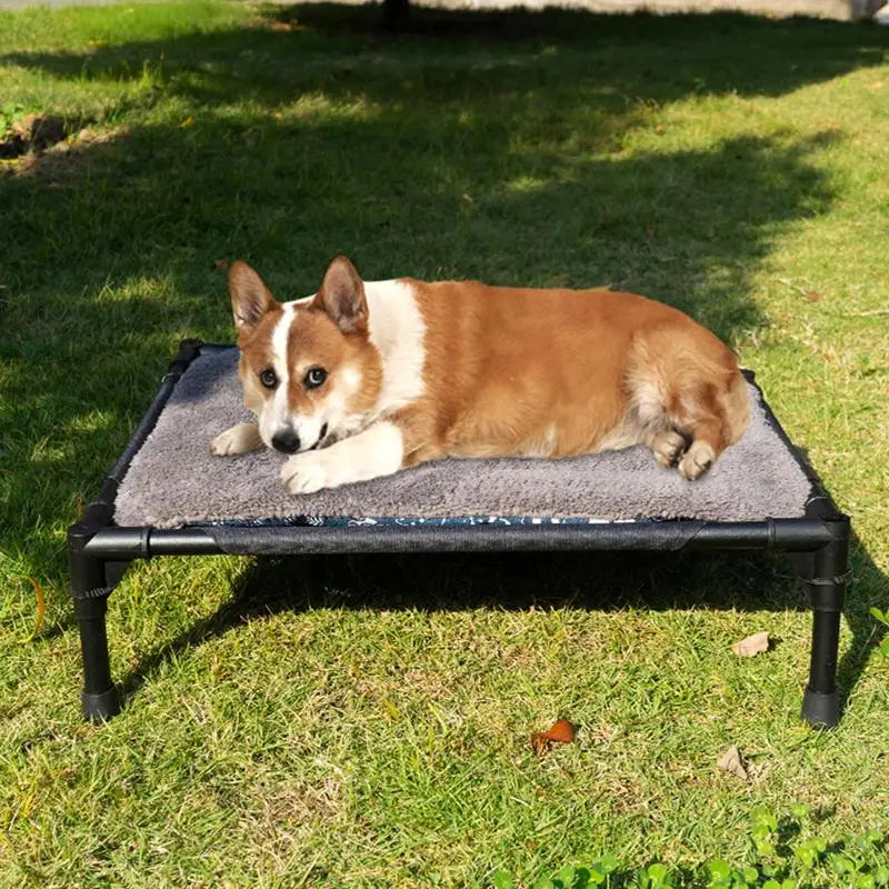 Small Animal Bed: Great for Outdoors