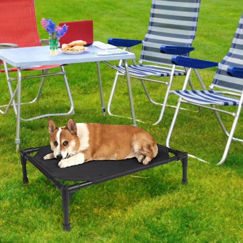 Small Animal Bed: Great for Outdoors