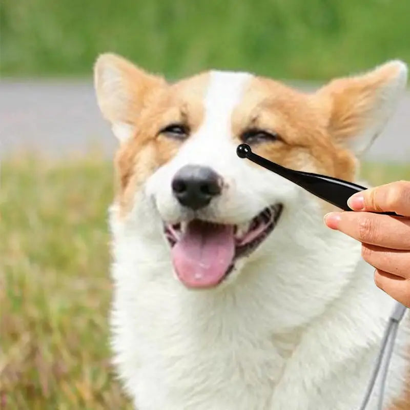 Tear stain remover brush: Gentle cleaning for pet eyes.
