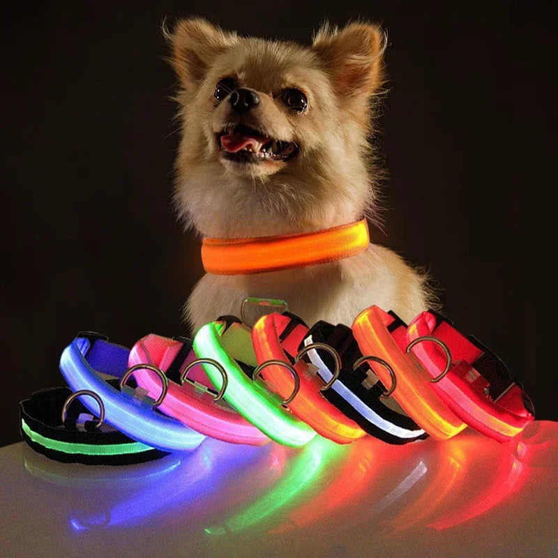 USB Charging LED Dog Collar: Illuminated collar for night walks.
