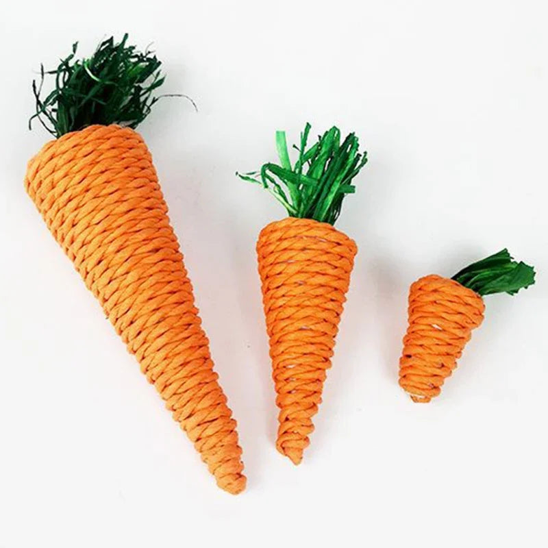 Chew Toy Set: Teeth-cleaning toys for small pets.