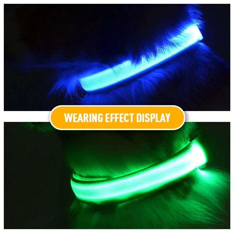 USB Charging LED Dog Collar: Illuminated collar for night walks.
