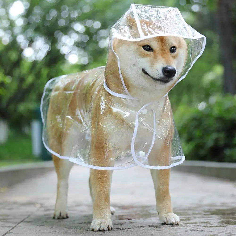 Pet Raincoat: Transparent, Adjustable, Windproof, Soft Dog Rainwear