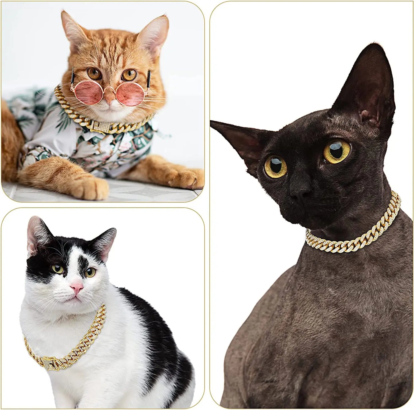 Gold Chain Dog Collar: Stylish Necklace for Pets