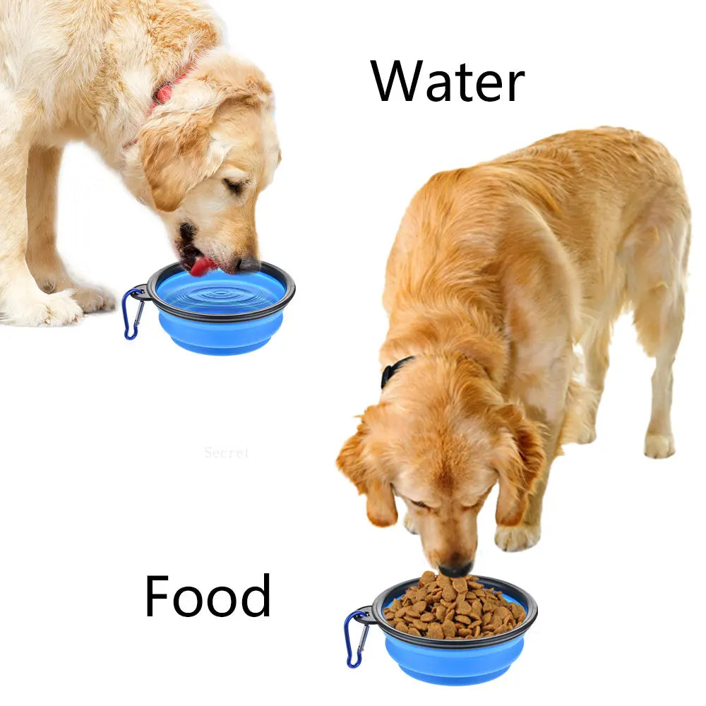 Silicone Bowl: Foldable, portable, for dog food.