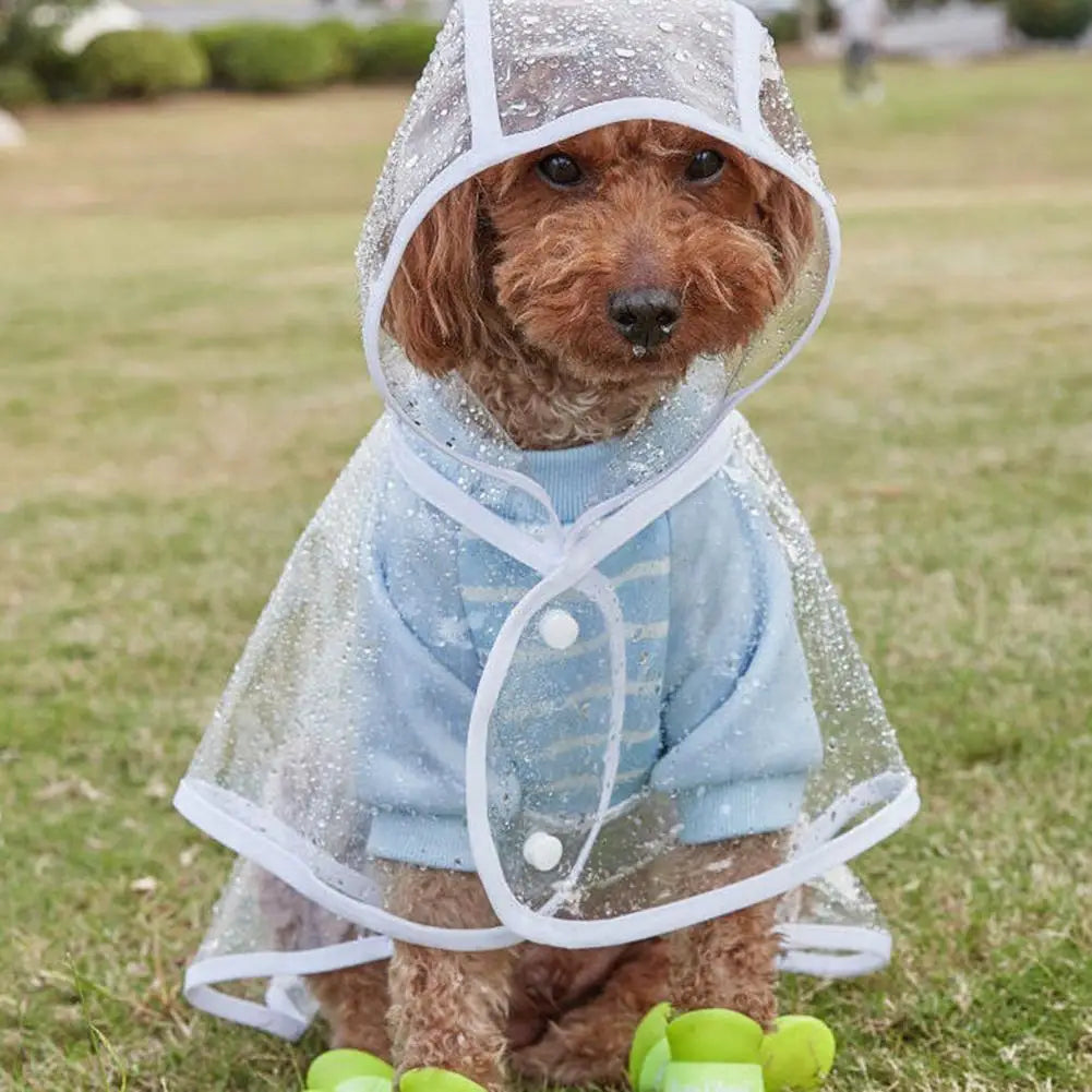 Pet Raincoat: Transparent, Adjustable, Windproof, Soft Dog Rainwear