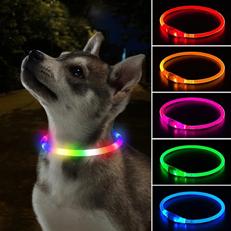 USB Luminous Dog Collar: 3 Modes LED Light, Glowing Prevention.