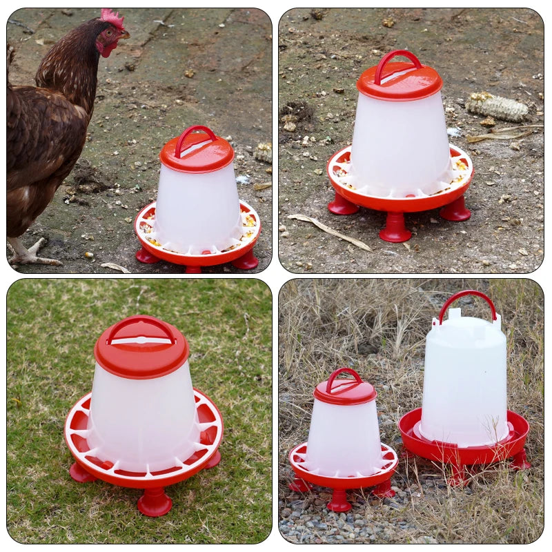 Chicken and Duck Feeder