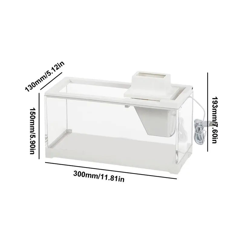 Low voltage desk aquarium: Quiet, illuminated mini tank.