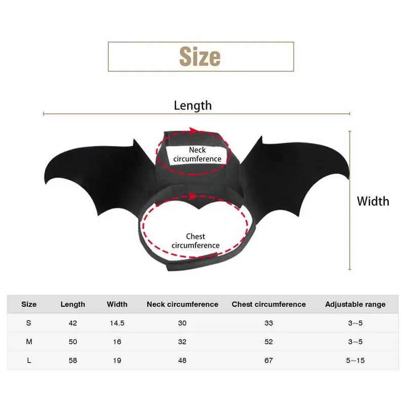 Pet Clothes: Apparel for cats and dogs.