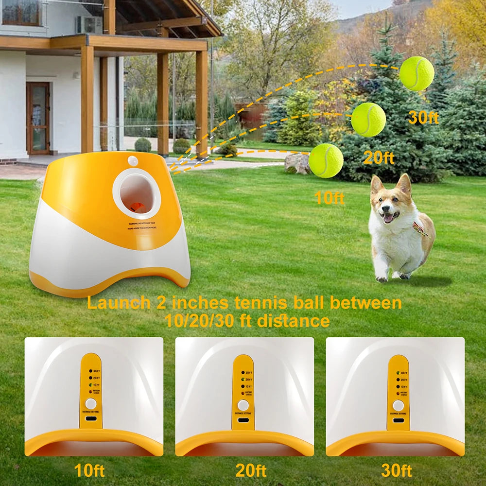 Dog Ball Thrower: Effortless Fun and Exercise for Your Dog!