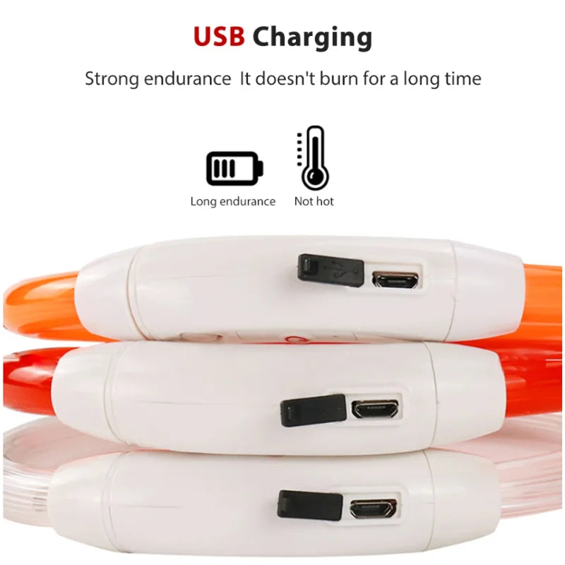 USB Luminous Dog Collar: 3 Modes LED Light, Glowing Prevention.