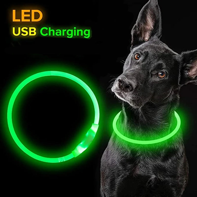 USB Luminous Dog Collar: 3 Modes LED Light, Glowing Prevention.