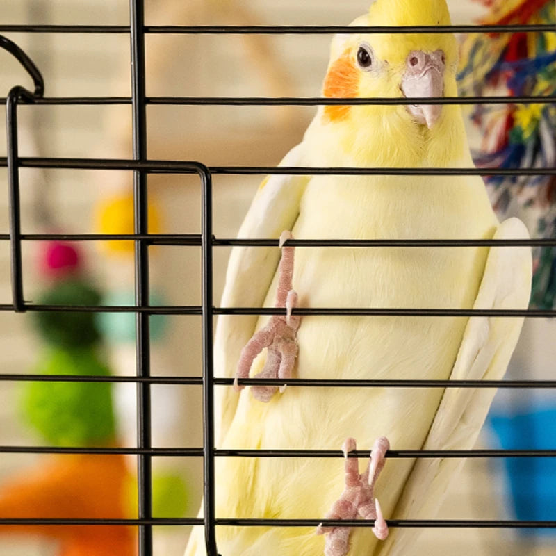 Breathable Bird Transport Cage: Safe Travel for Your Bird!