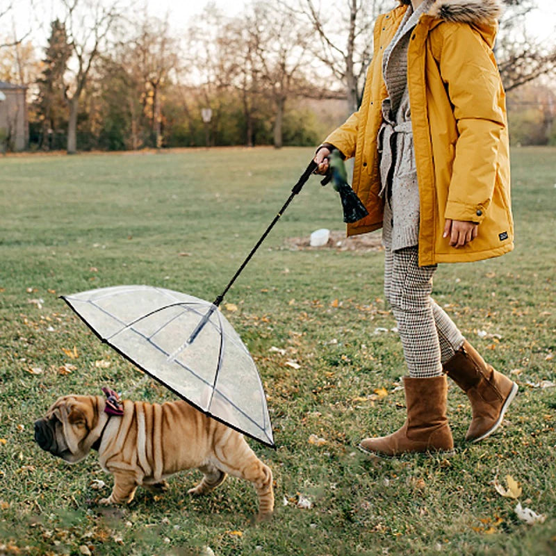 Transparent pet umbrella leash: Keep pets dry during walks.