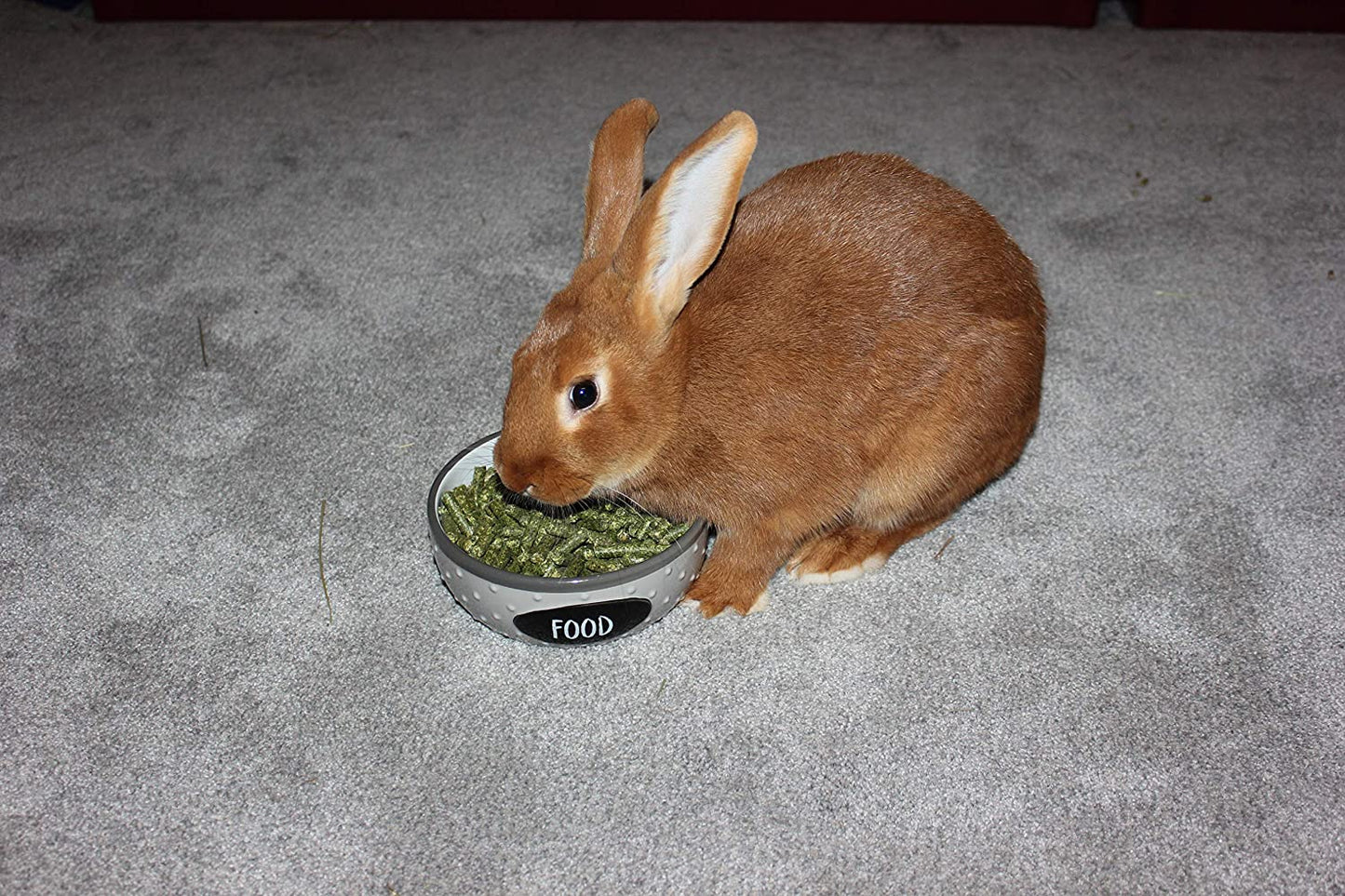 Alfalfa Hay Food