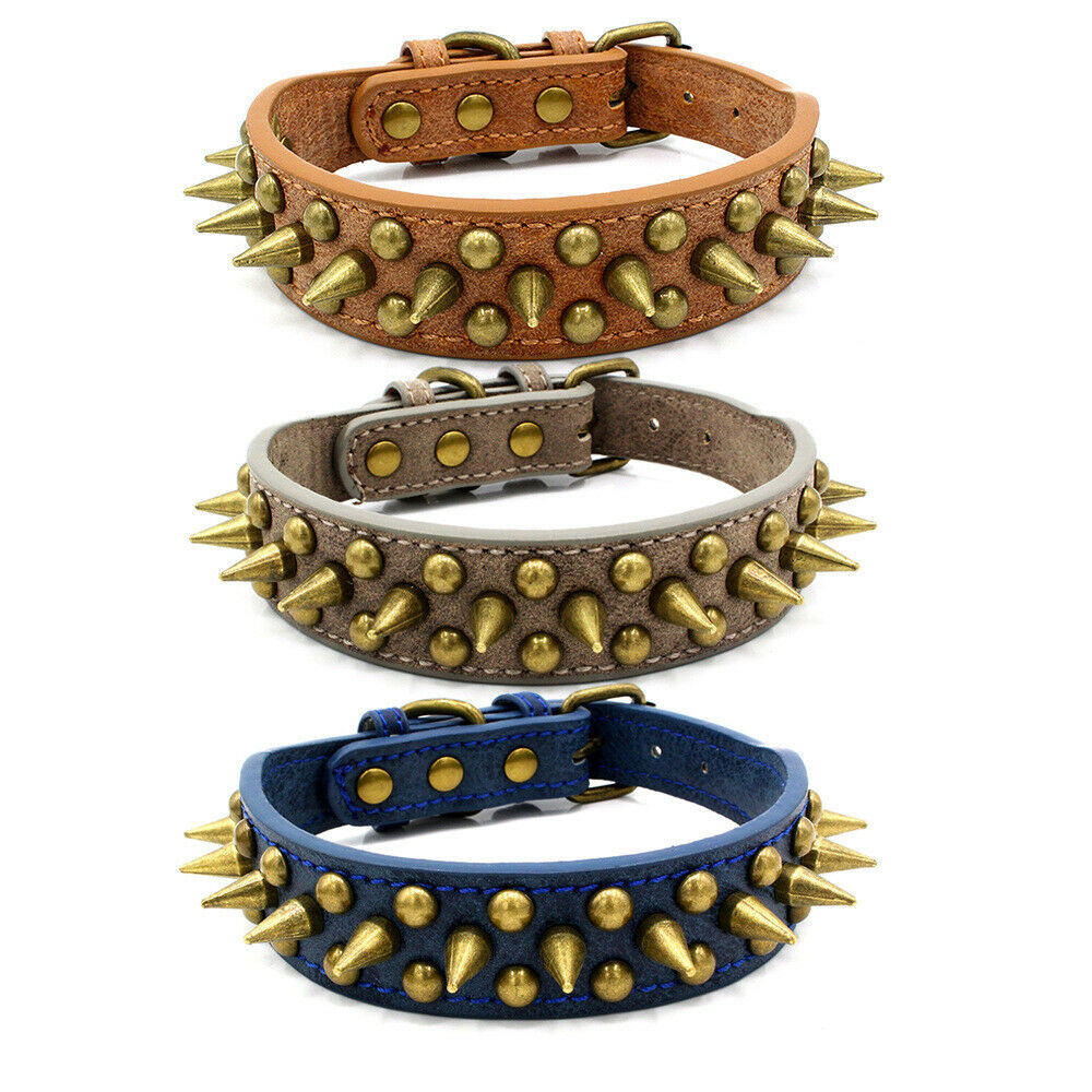 Spiked Dog Collar: Ensure Your Dog's Safety and Style!