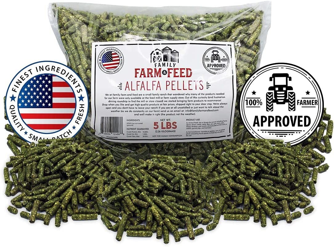 Alfalfa Hay Food