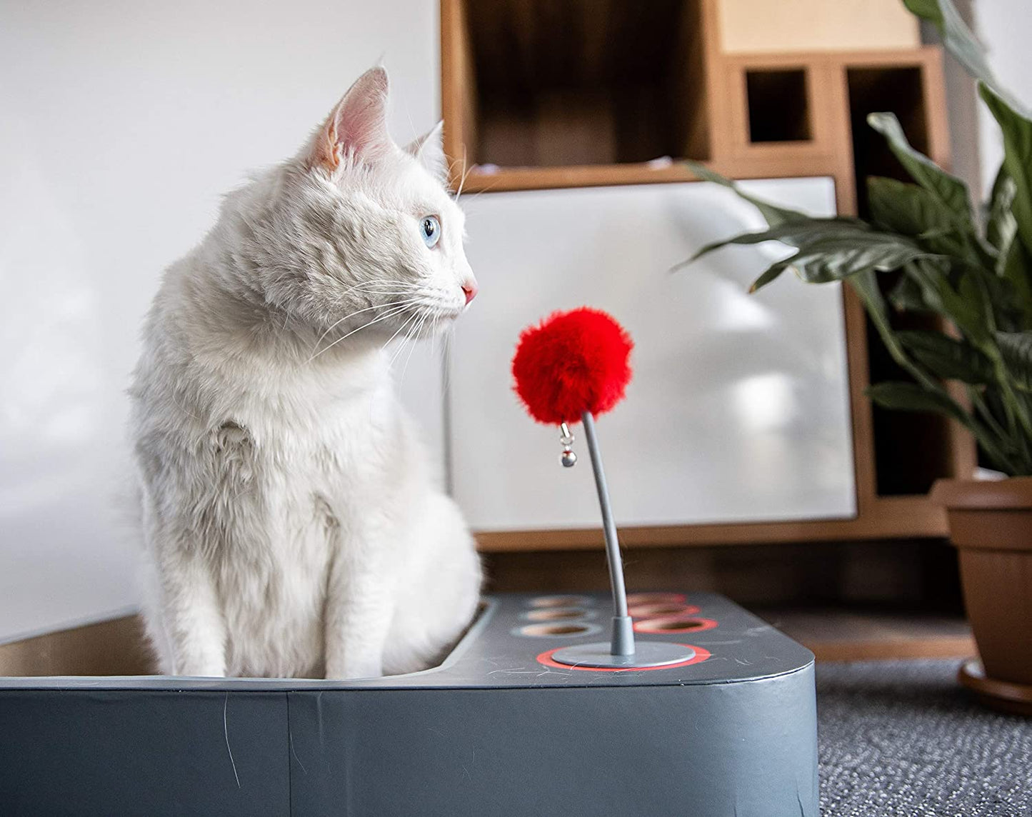 Cat Ball Board Game: Interactive 3-in-1 Toy for Playful Cats