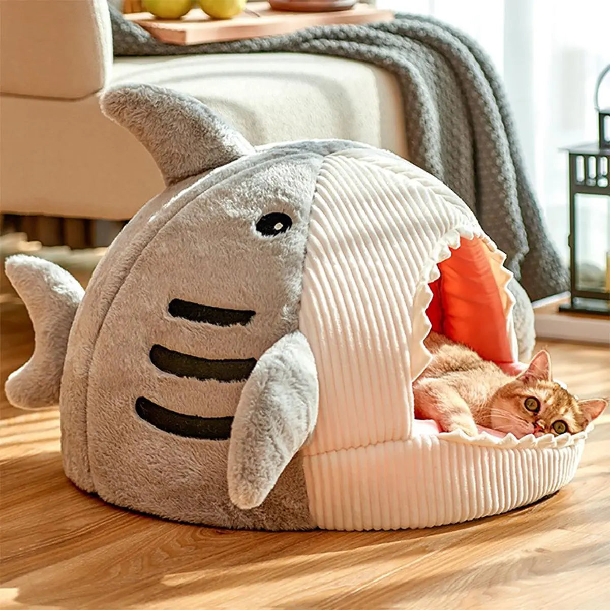 Cat Bed: Spring Shark Designed Breathable Dog Bed, Pet Supplies for Indoor Use