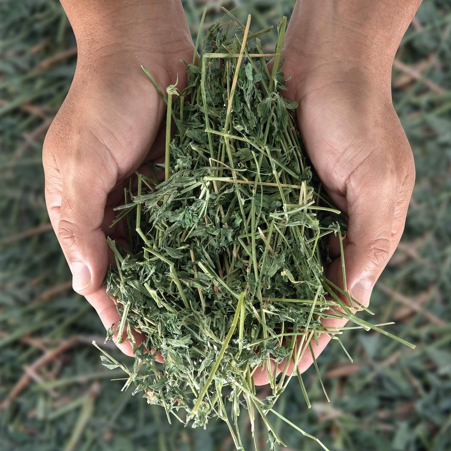 Alfalfa Hay Pet Food