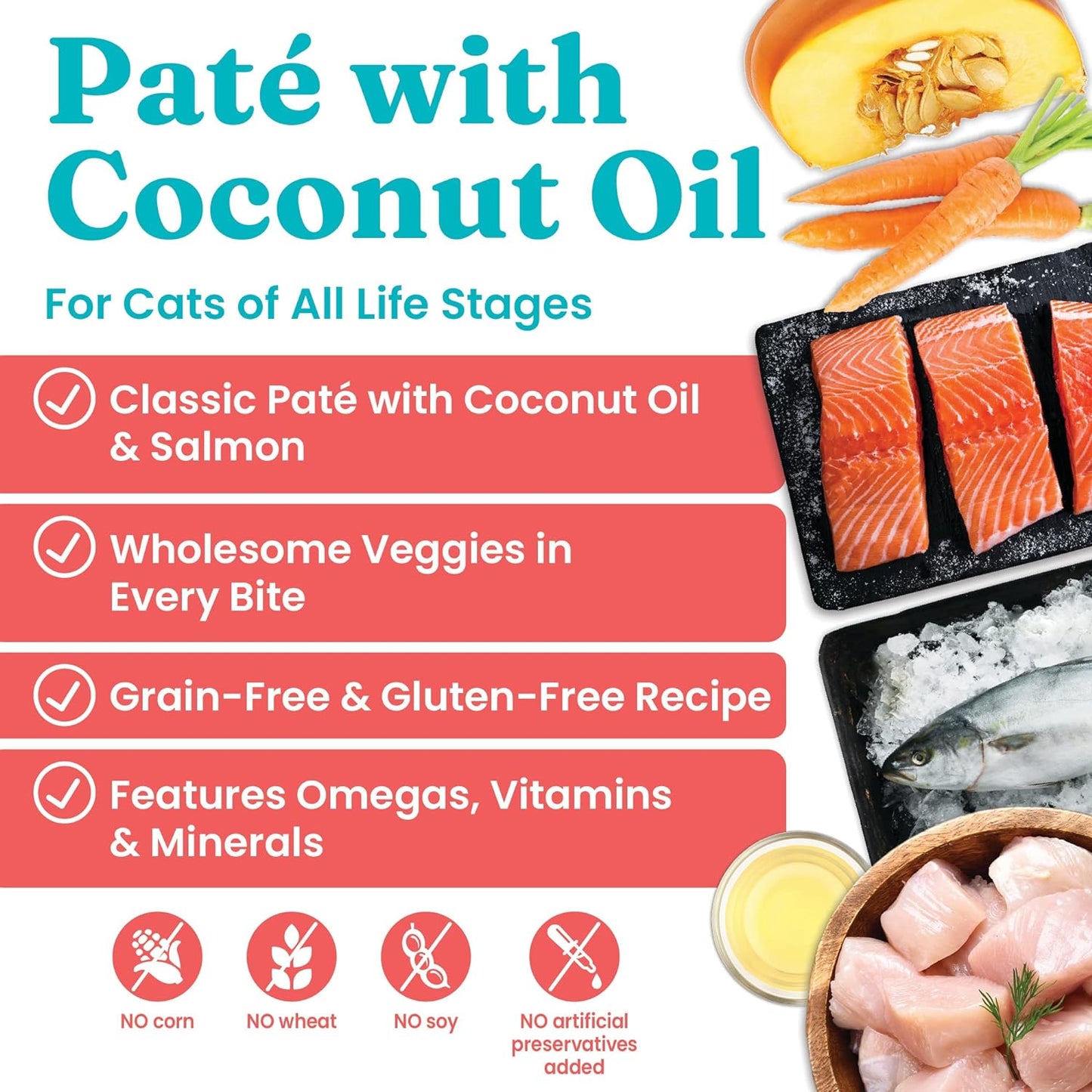 Wet Cat Food Pate for Adult & Senior Cats: Real Salmon & Coconut Oil, Promotes Healthy Digestion, Skin, Coat & Sensitive Stomach - 24Ct/3Oz Can