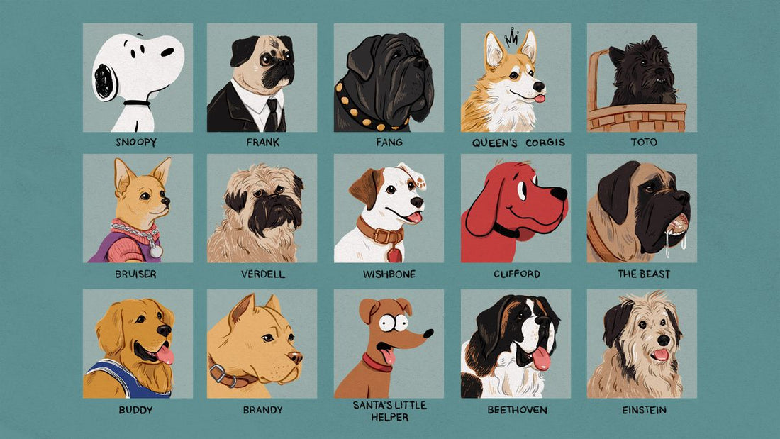 Calling All Fanatics: Best Pet Names Inspired by Pop-Culture Characters