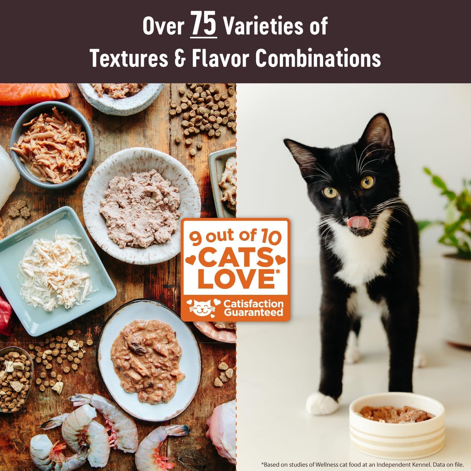 Signature Selects Wet Cat Food by CORE Wellness: Grain-Free, Natural, Made with Real Meat (Chunky Beef & Chicken, 2.8-Ounce, Pack of 12)