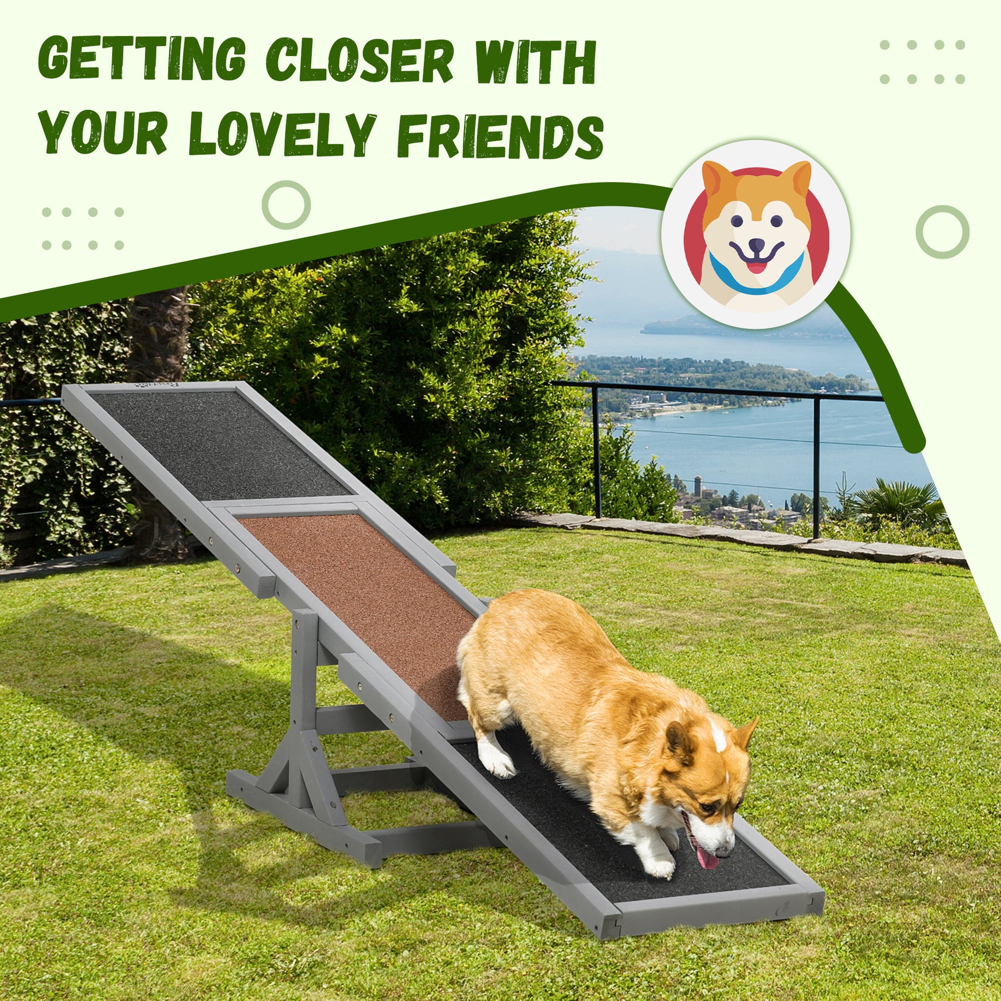 Pet Seesaw: Wooden Dog Training Equipment for Active Play
