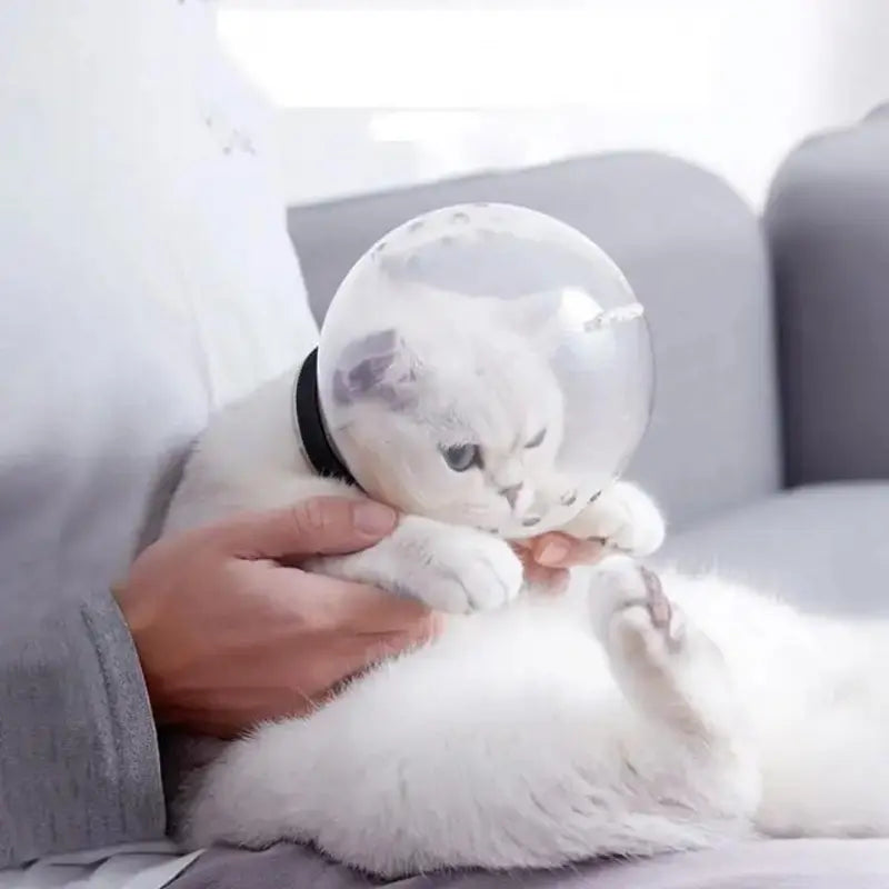Adjustable & Breathable Cat Hood: Anti-Bite Head Cover, Pet Cat Muzzle Prevent from Biting & Chewing
