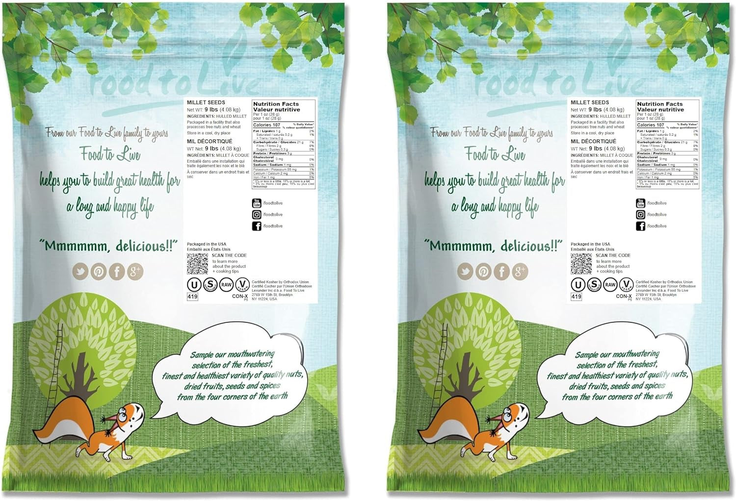 Hulled Millet, 18 Pounds – Whole Grain Seeds, Kosher, Raw, Bulk
