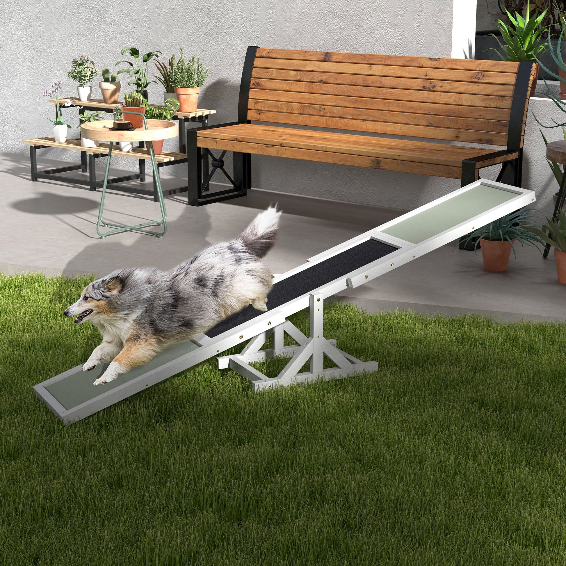 Pet Seesaw: Wooden Dog Training Equipment for Active Play
