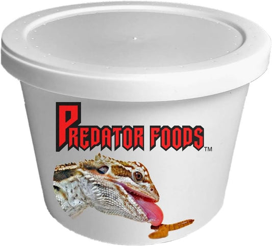 Bulk Super Worms - Large (1.5-1.75 In) - 100 Count