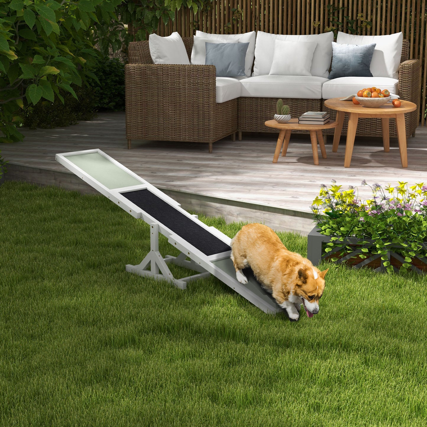 Pet Seesaw: Wooden Dog Training Equipment for Active Play